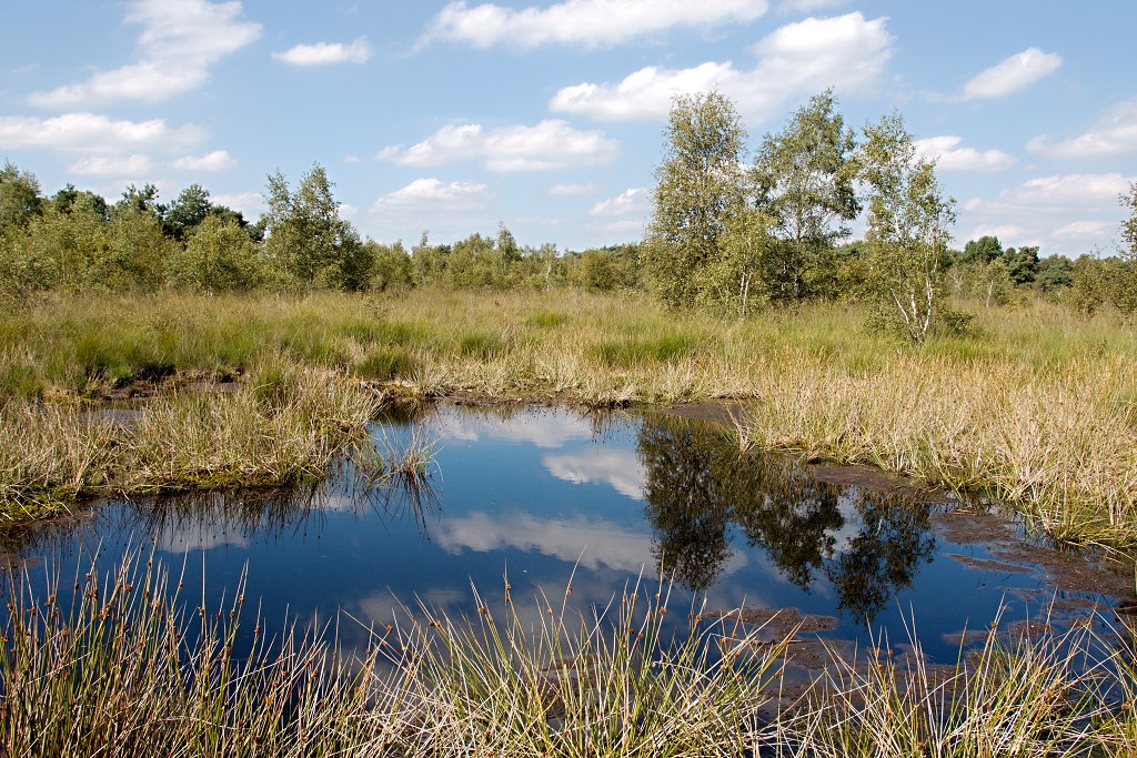 nationaal park de groote peel grote natuurgebied natuur hdr brabant limburg staatsbosbeheer turf veen heide hei bos bossen